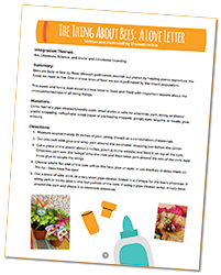 Bee Lesson Worksheet