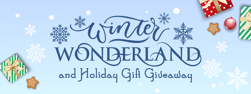 Winter Wonderland and Holiday Gift Giveaway