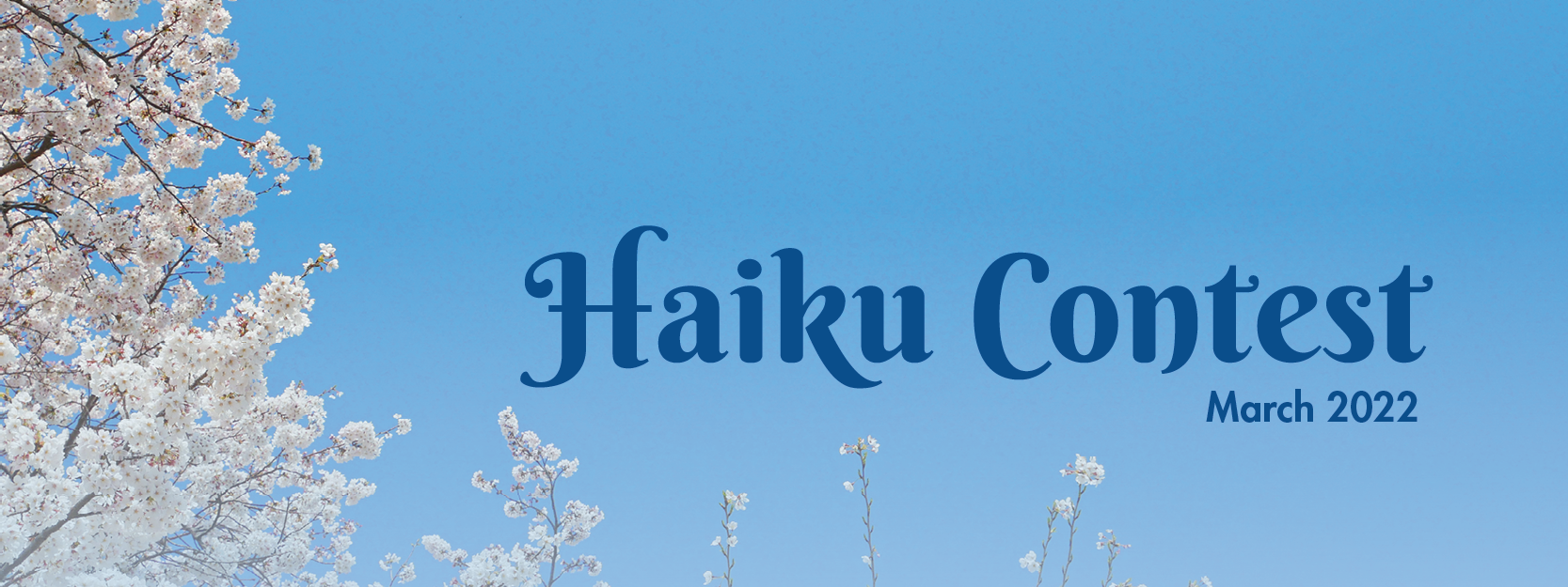 Haiku Contest Web Banner