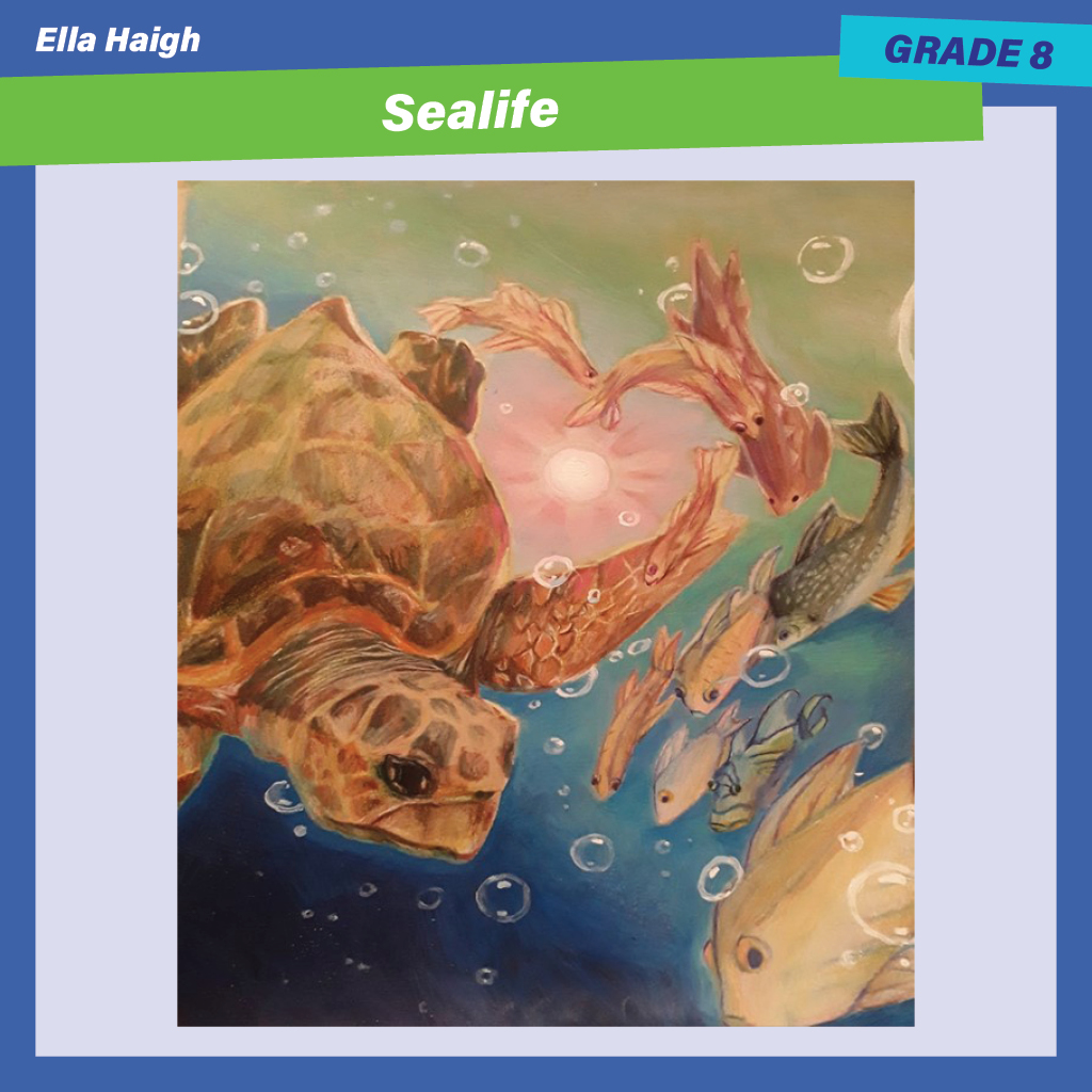 Ella Haigh - El Cerrito Middle School - Corona-Norco USD